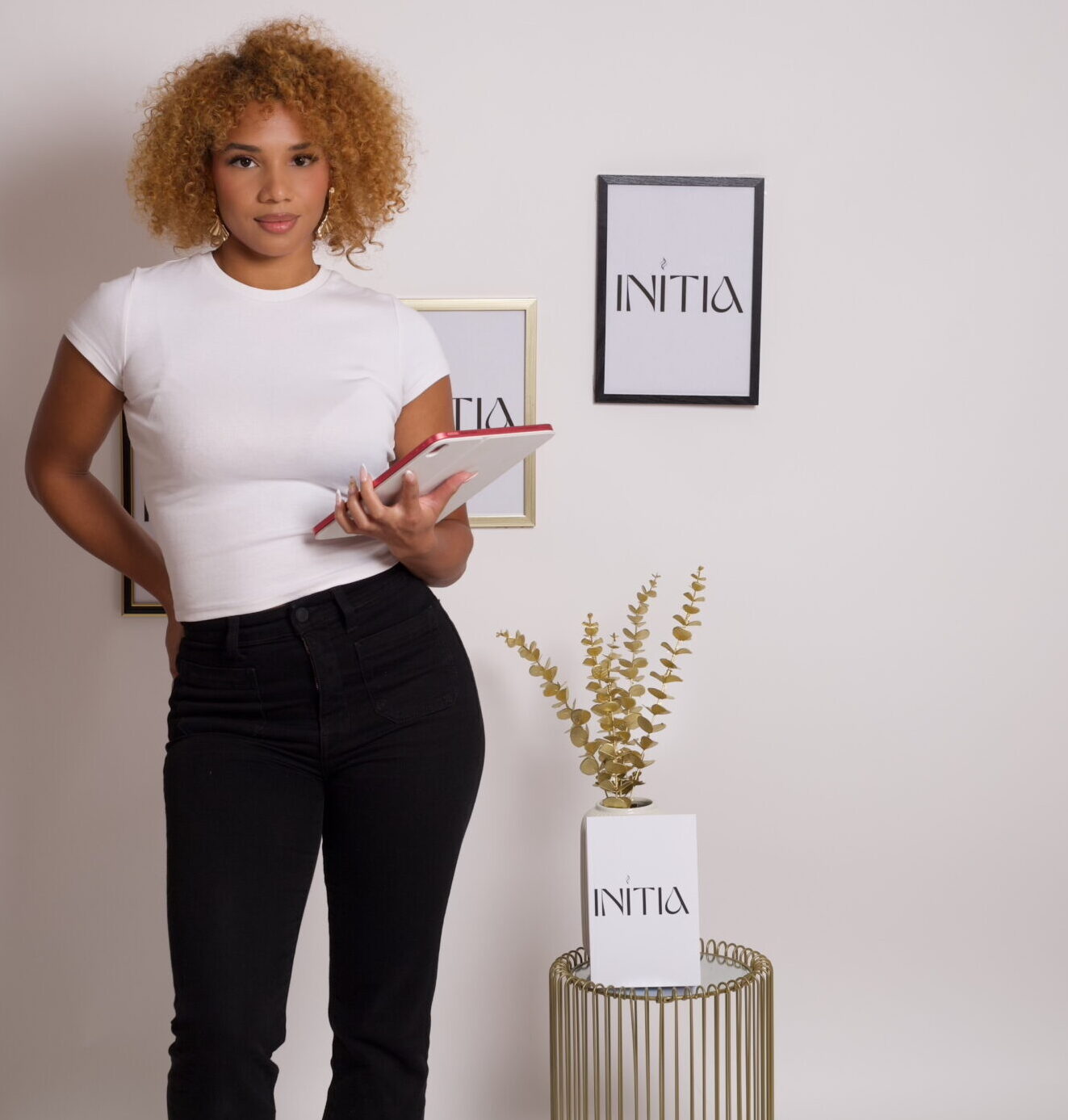 Description pertinente de l'image